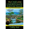 The Case of the Unfortunate Fortune Teller: A WISE Enquiries Agency cozy Welsh murder mystery