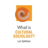 What Is Cultural Sociology?