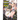 Modern Dungeon Capture Starting with Broken Skills (Manga) Vol. 4