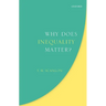 Why Does Inequality Matter?