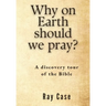 Why on Earth Should We Pray?
