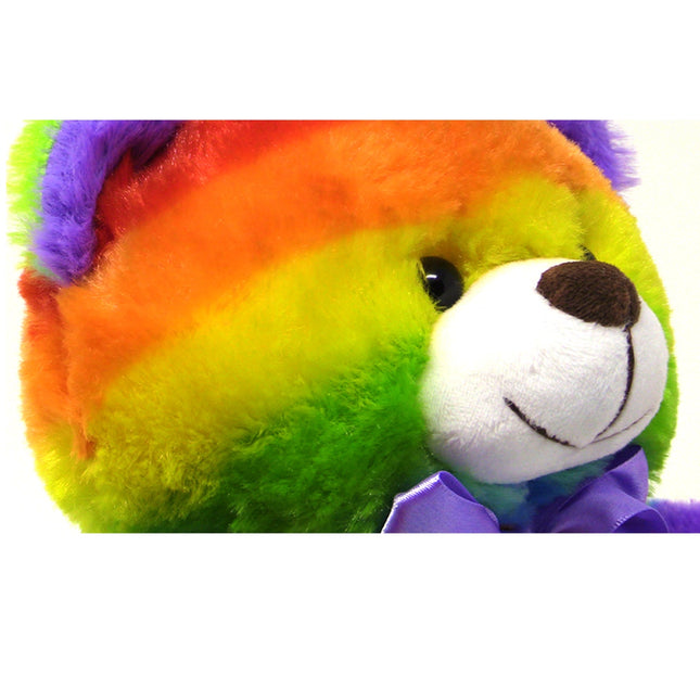 Rainbow Teddy Bear Plush Stuffed Animal Cuddly Soft 12 inch by The Noodley