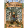 Mystery of the Bear Cub