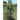 Winery: Four Seasons in the Vineyard