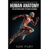 A Guided Tour Through the Human Anatomy: The Different Body Systems In Humans
