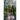 The Road of Life