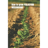 How to grow PSILOCYBIN MUSHROOMS: Magic mushroom cultivation. Easy grower's guide book
