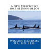 A New Perspective on the Book of Job