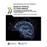 Systemic Thinking for Policy Making