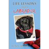 Life Lessons and a Labrador