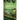 The Pearl Diver