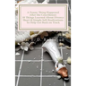 A Funny Thing Happened After the Courthouse: : 10 Things Learned About Divorce Short & Simple Self-Realizations To Help Get Back on Track