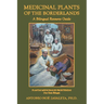 Medicinal Plants of the Borderlands: A Bilingual Resource Guide