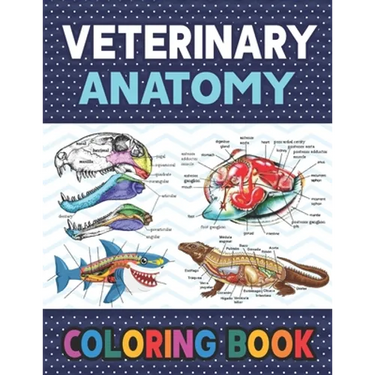 Veterinary Anatomy Coloring Book: Learn The Veterinary Anatomy With Fun & Easy. The New Surprising Magnificent Learning Structure For Veterinary Anato