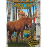Moose Hunt: Lost in Alaska: Lost in Alaska