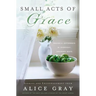 Small Acts of Grace: You Can Make a Difference in Everday, Ordinary Ways