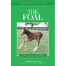 Understanding the Foal: Your Guide to Horse Health Care and Management