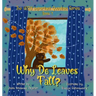 Why Do Leaves Fall?: Book 4 of The VERY Important Question Series