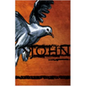 John: Lectio Divina for Youth