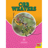Orb Weavers