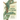 Field Guide to the Reptiles of Thailand