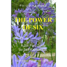 THE POWER OF SIX A Six Part Guide to Self Knowledge