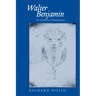 Walter Benjamin: An Aesthetic of Redemption Volume 7