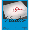 Studio: Blending Model with Reality