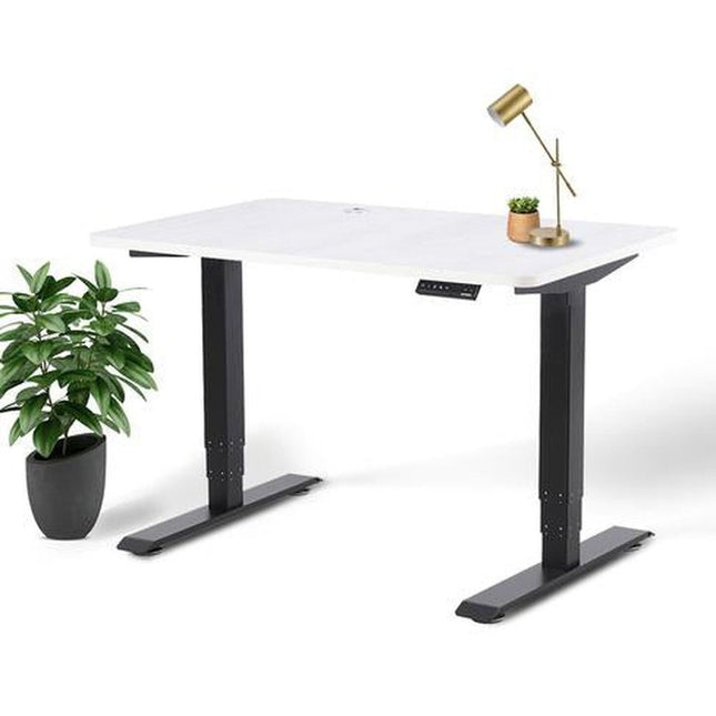 Business Office Standing Desk by EFFYDESK by Level Up Desks
