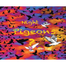 Night Pigeons