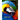 Macaw: Words of Nature