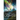 Western Lights