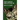 The Green Millennium