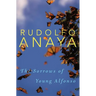 The Sorrows of Young Alfonso: Volume 15
