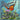 The Magical and Amazing Life of a Butterfly: Incredible Life Cycle of Butterflies illustrated in children's picture books of Nature
