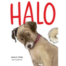 Halo Finds a Home