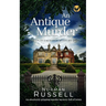 AN ANTIQUE MURDER an absolutely gripping murder mystery full of twists