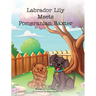 Labrador Lily Meets Pomeranian Baxter
