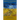 Memory of the Species