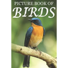 Picture Book of Birds: For Seniors with Dementia [Colorful Picture Books]