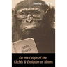 On the Origin of the Clichés and Evolution of Idioms