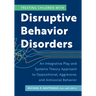Treating Children with Disruptive Behavior Disorders: An Integrative Play and Systems Theory Approach to Oppositional, Aggressive, and Antisocial Beha