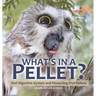 What's in a Pellet? Owl Digestive System and Dissecting Owl Pellets Grade 6-8 Life Science
