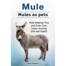 Mule. Mules as pets. Mule Keeping, Pros and Cons, Care, Costs, Housing, Diet and Health.