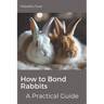 How to Bond Rabbits: A Practical Guide