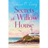 Secrets of Willow House: A heartwarming and uplifting page turner set in Ireland