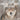 The Difference Between Dogs, Wolves, Foxes and Hyenas Children's Science & Nature