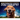 Dogtography: A Knock-Your-Socks-Off Guide to Capturing the Best Dog Photos on Earth