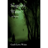 Stagnant Water