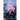 Beyond The Roses